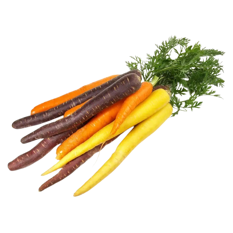 Karotten bunt mit Laub