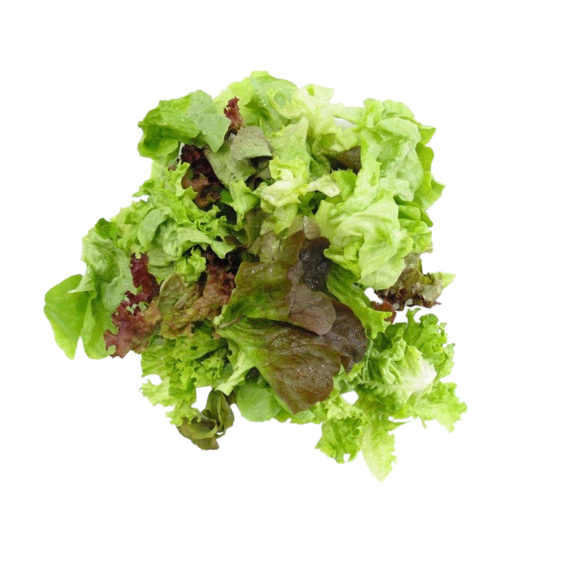 Blattsalat gezupft 500g