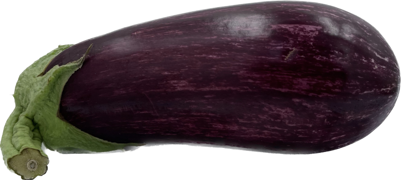 Aubergine