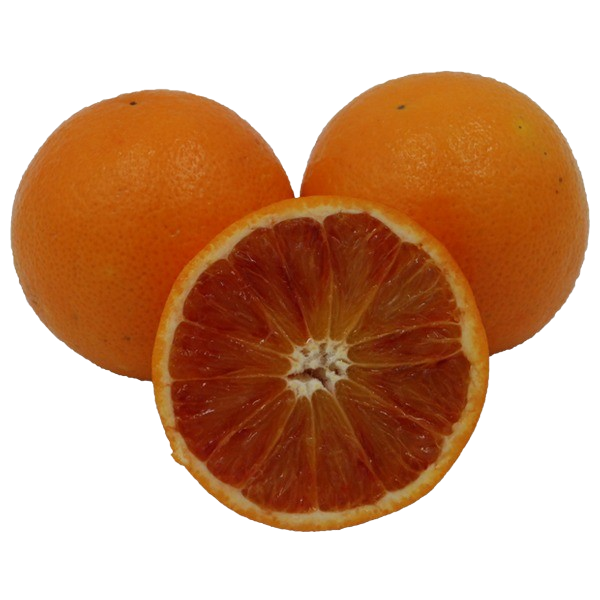 Orangen Tarocco - Bio kg lose