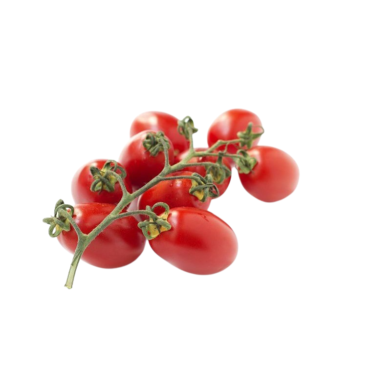 Tomaten Cherry Roma Strauch