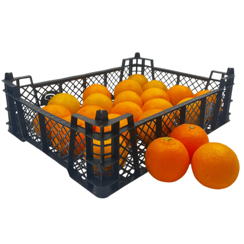 Orangen 3kg-Kiste (große Früchte) Orangen 3kg-Kiste (große Früchte)