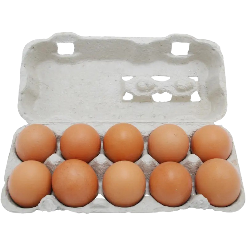 Eier 10 Stück (M oder L) Döllinger
