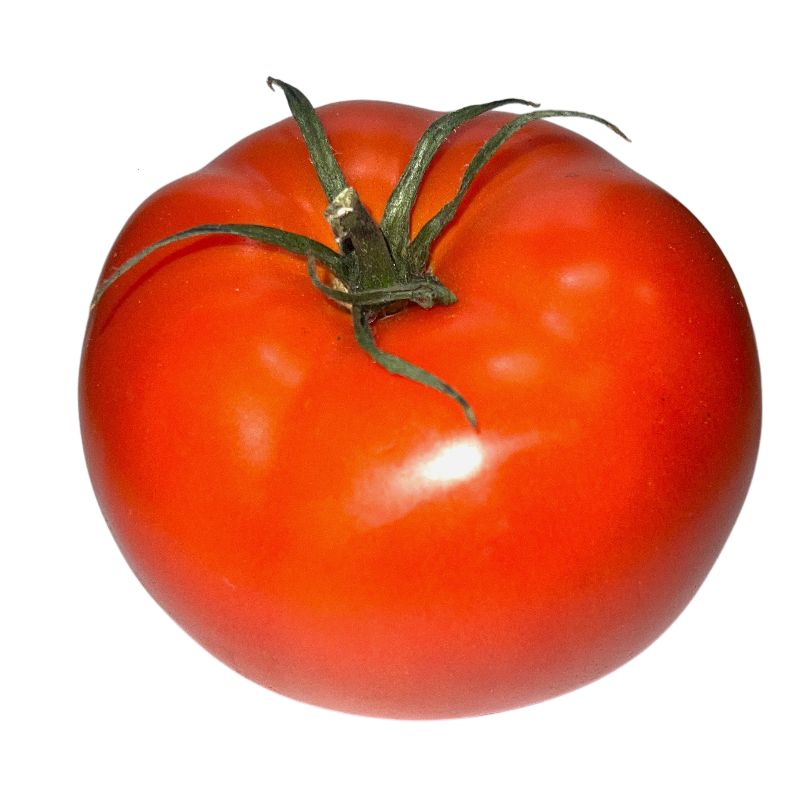 Tomaten Fleisch