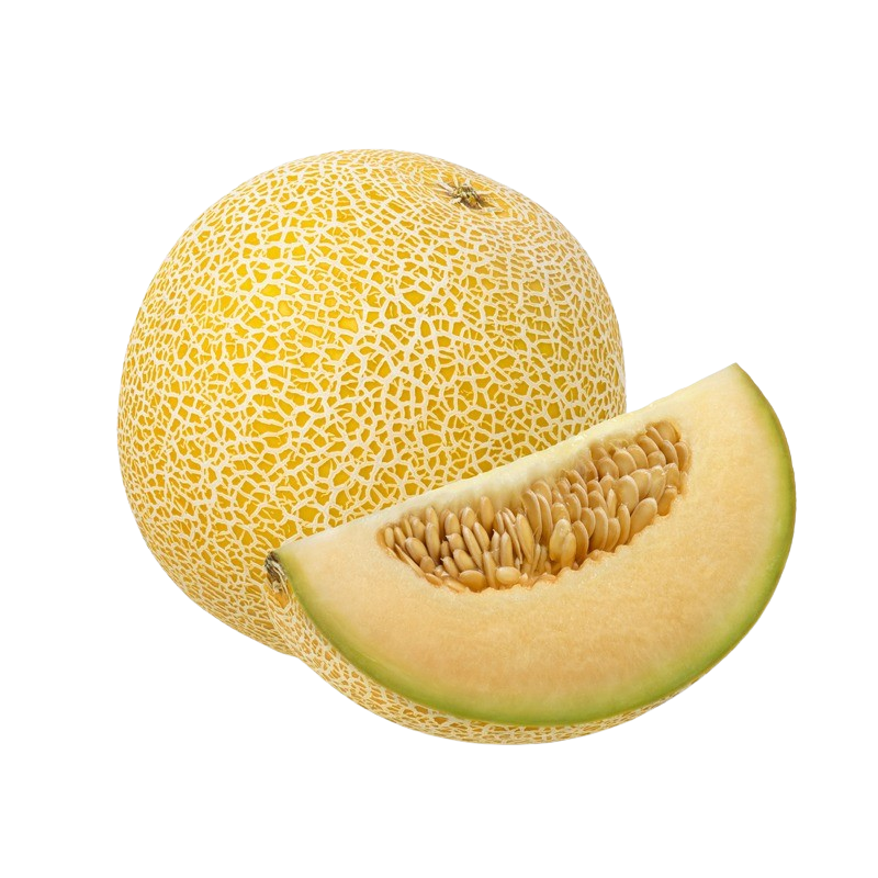 Melone-Galia