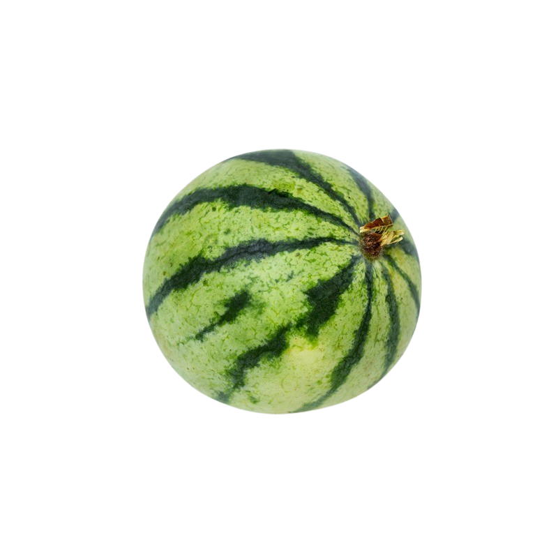 Melone Wasser Mini kernarm (ca. 2kg)