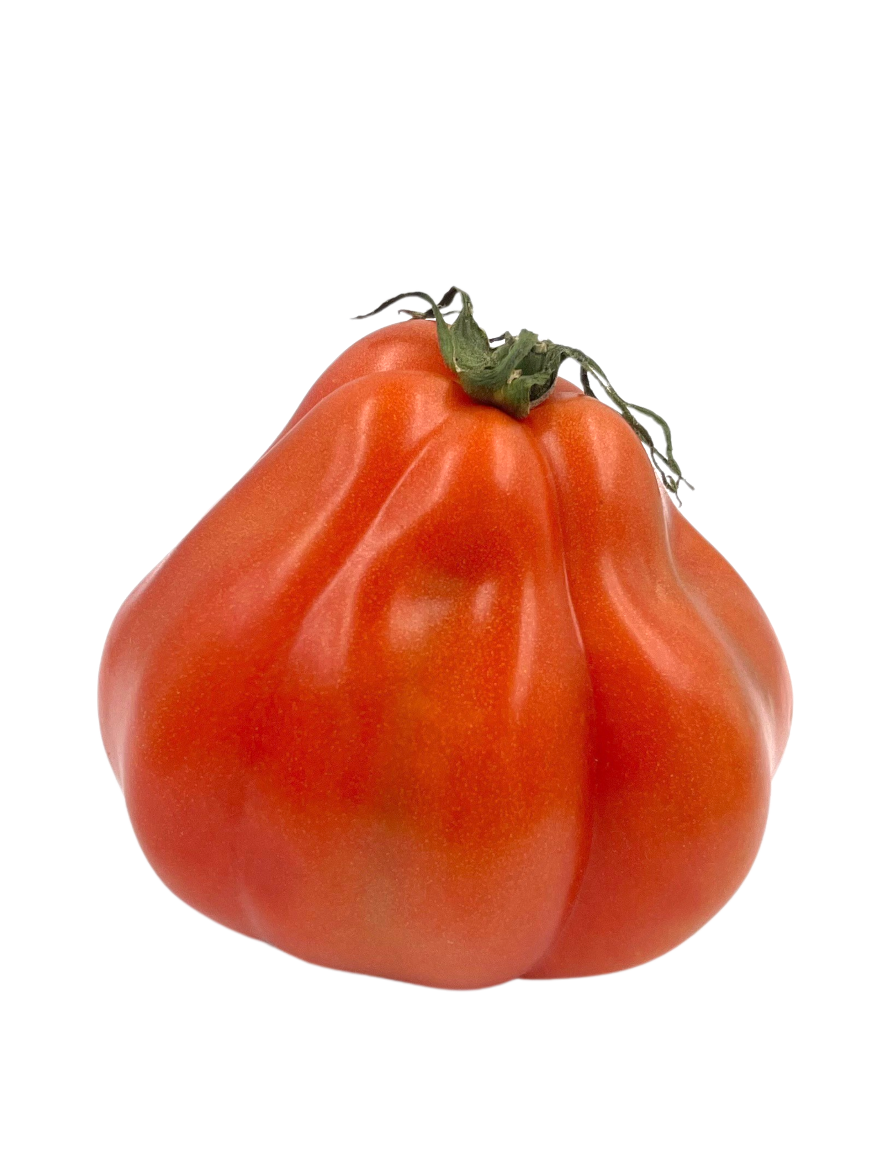 Pfälzer Tomaten Coeur de Boeuf lose