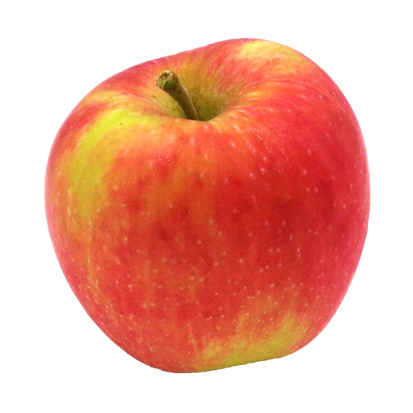 Äpfel Delbar (neue Ernte)