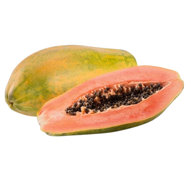 Papaya Formosa (große Früchte)
