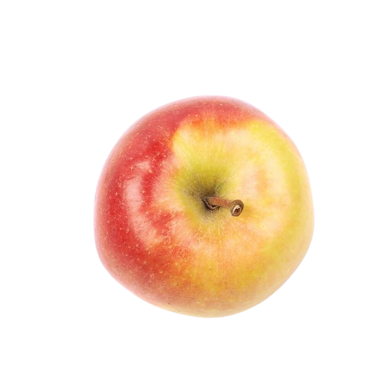 Äpfel Jonagold 