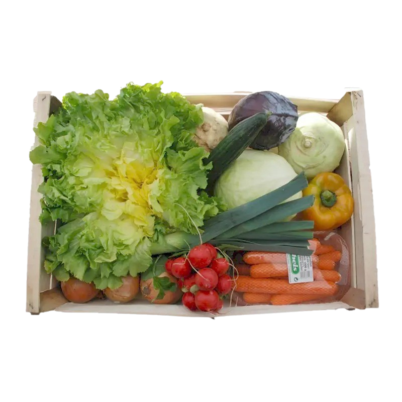 Gemüse-Kiste mit Salat  