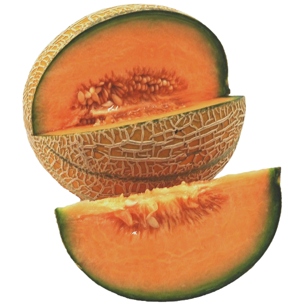 Melone Gwanipa Tropical Taste