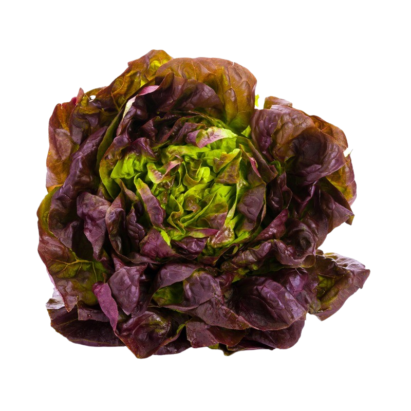 Rotkäppchen-Salat