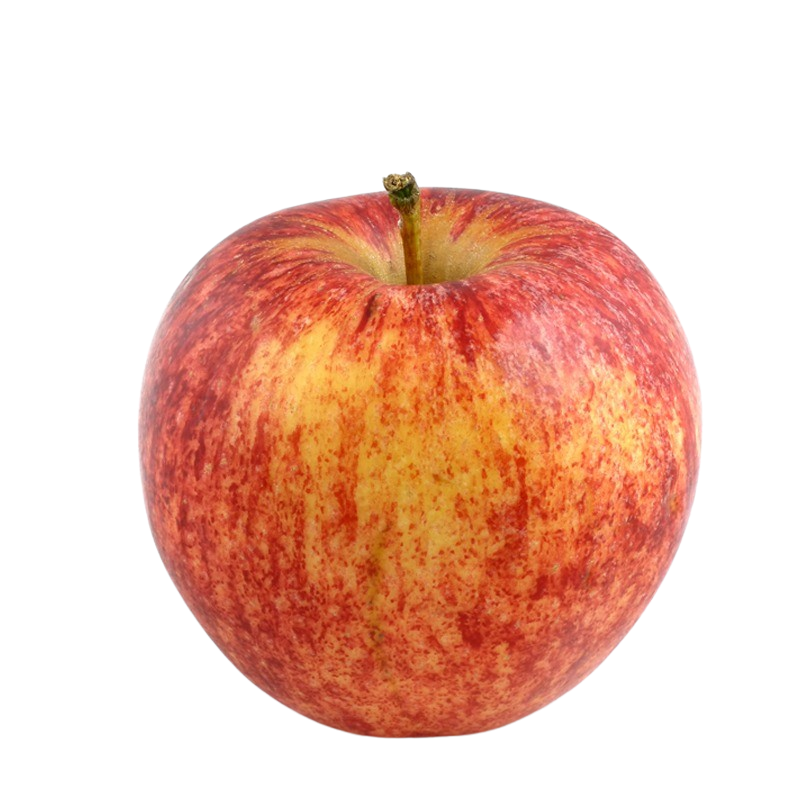 Äpfel Gala 