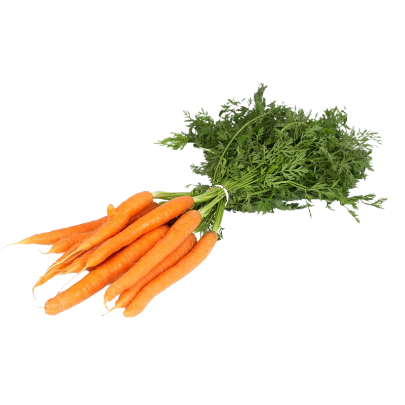 Karotten mit Laub
