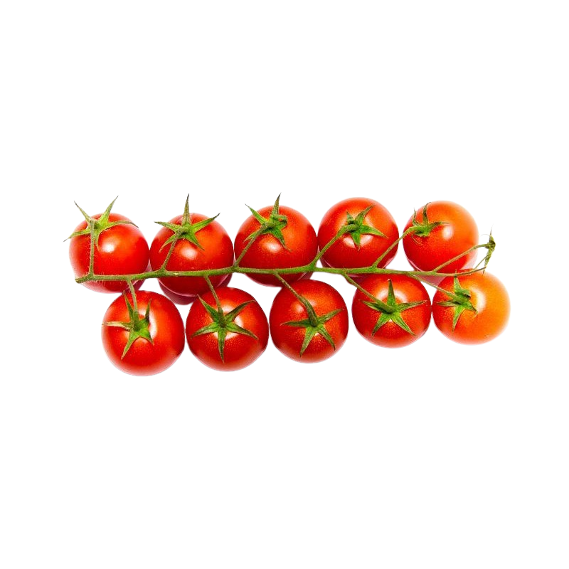 Tomaten Cherry Strauch rot
