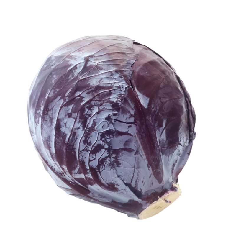 Rotkohl | 155525